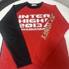 インターハイ限定 ソフトテニス 2013 M