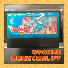FC ファミコンソフト　ドラゴンクエストⅡ　悪霊の神々