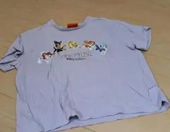 専用☆パウパトロー 薄紫 Tシャツ 120
