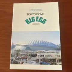ビッグエッグ東京ドームノート