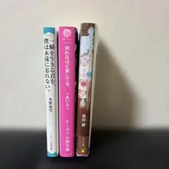 恋愛小説