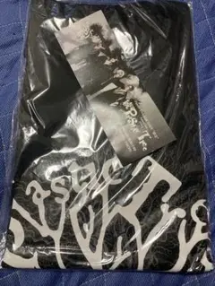完全未開封plastic tree 樹念ツアー会場限定販売　ビッグTシャツ