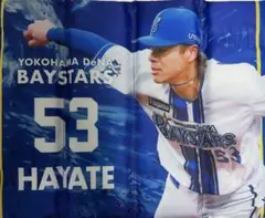 横浜DeNAベイスターズ スタジアムシートクッション　颯