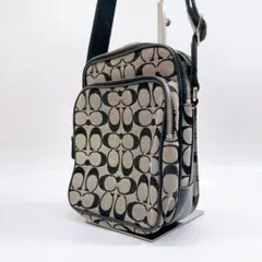 Item thumbnail for item 00244153-3d6a-4689-b38a-bf4515dc4c90