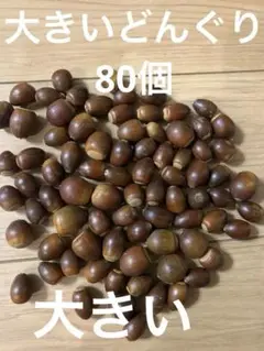 Item thumbnail for item f556f8c8-504a-4fb3-b72d-ebb6e84cd1a9