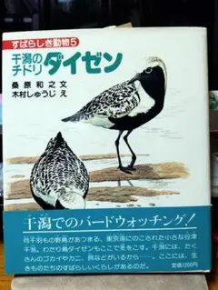 干潟のチドリ ダイゼン