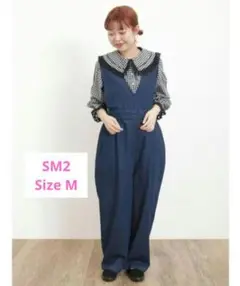 Item thumbnail for item e33c8a8c-039c-4761-aa96-e11ec811921d