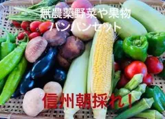 朝採れ♪ 信州産 野菜 と 果物 詰め合わせ 無農薬 と 双子 卵 20個セット