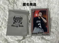 Stray Kids バンチャン ランダムライブフォトカード　スキズ