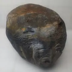 Item thumbnail for item bc06b3d6-b0c4-4325-be81-9e407a4f53fe