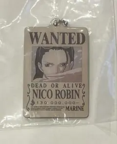 ワンピース　NICO ROBIN キーホルダー
