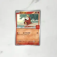 ポケモン ホゲータ ハッピーセット