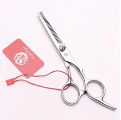 Item thumbnail for item b1ada4c3-e21b-43f4-a856-00371102c5ae