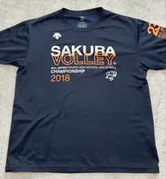 Item thumbnail for item 8bd957cc-93eb-47ae-aebb-257c51752ccc