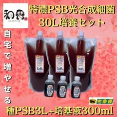 光合成細菌PSB30L用培養セット 関連:めだか金魚ミジンコクロレラN