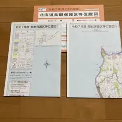 Item thumbnail for item 0a83a22f-76f4-4234-9051-0efa3584a576