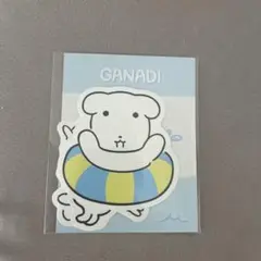 Torriden トリデン　ガナディ ステッカー