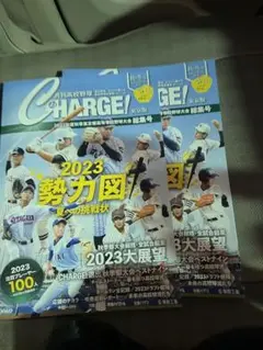 チャレンジ 東京都高校野球 総集編
