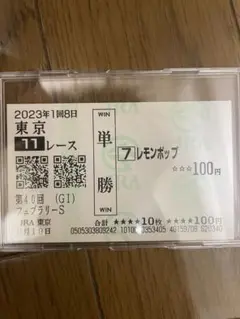 レモンポップ　フェブラリーステークス現地応援馬券