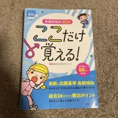 看護師国試ここだけ覚える! 2024
