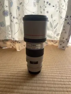 Item thumbnail for item 018993dc-8698-4e3f-b4ff-7275a1e80f3b