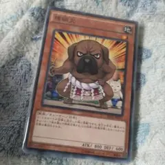 遊戯王９枚　横綱犬