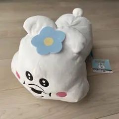 んぽちゃむ　いっしょにねんね　BIG ぬいぐるみ