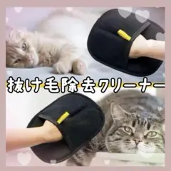 Item thumbnail for item 558f5c21-4b59-4c4d-82ad-968b9fea8868