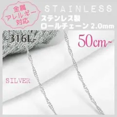 【アレルギー対応】ステンレスチェーン ✨ スクリュー/SV 50cm~ C3