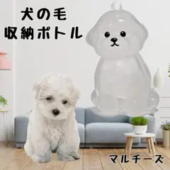 犬の毛収納ボトル 犬 キーホルダー メモリアル けだまだま マルチーズ 小型犬