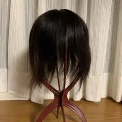 ウィッグ