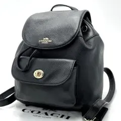 【極美品】COACH コーチ リュック ロゴプレート ターンロック レザー 黒