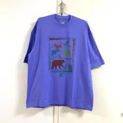 ザノースフェィス☆タグ付き新品！Tシャツ