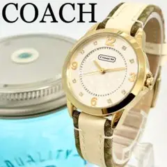 416 COACH コーチ時計 レディース腕時計 8Pダイヤ シグネチャー 人気