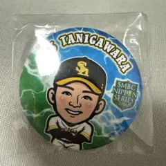 ソフトバンクホークス♡谷川原選手