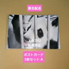 【匿名配送】王子動物園 旦旦 ありがとうタンタン ポストカード5枚セットA