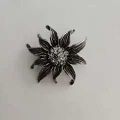 Item thumbnail for item 530917f3-00a9-44bd-b2ab-c8f695ea2983