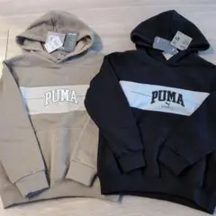 Item thumbnail for item 61b3f39e-acb9-4136-a19b-b92b2af37cf4