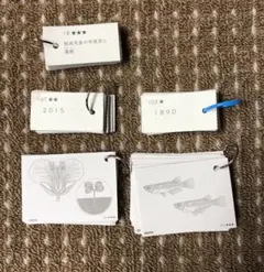 2025年最新】サピックス カード 動物 植物の人気アイテム - メルカリ