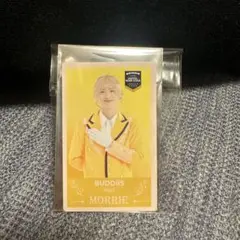 【最終値下げ】エビライ 2025 ランダムカードBUDDiiS MORRIE