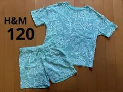 H&M 120 セットアップ モンステラ柄