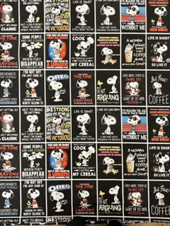 スヌーピー☆キャラクター大きめパネル生地① 綿ポリ PEANUTS はぎれ