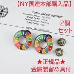 ♦︎新品♦︎6月入荷♦︎SDGsピンバッジ 2個セット♦︎NY国連本部正規品♦︎丸み仕上げ