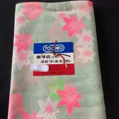 Item thumbnail for item 49830516-b07e-4814-b025-e332b9466dca