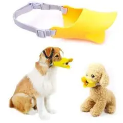 Item thumbnail for item 4bd4926d-0005-4cc8-9b46-e5a91a4ace85