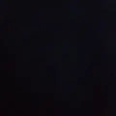 専用
