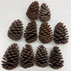 Item thumbnail for item 3a47ec8c-3dc3-4cc0-a826-cdfbd614b922