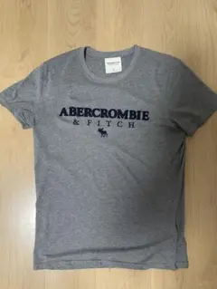 Abercrombie & Fitch グレー Tシャツ S