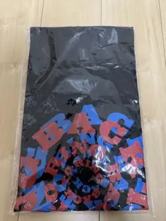 BACK TO RING イベント Tシャツ XLサイズ