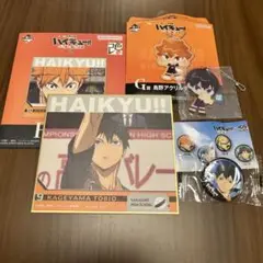 ハイキュー　影山飛雄 ゴミ捨て場の決戦セット
